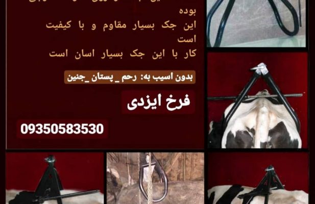 جک بلند کننده گاو ( لگن گیر گاو )