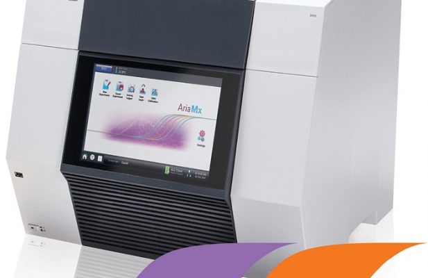 ریل تایم پی سی آر – Real Time PCR