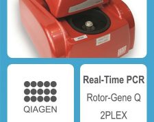 دستگاه ریل تایم پی سی آر Real Time PCR
