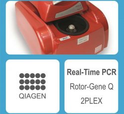 دستگاه ریل تایم پی سی آر Real Time PCR